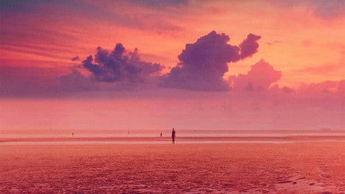 The Almond and the Seahorse Bild 7