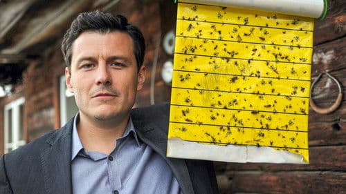 Drachenjungfrau Bild 6