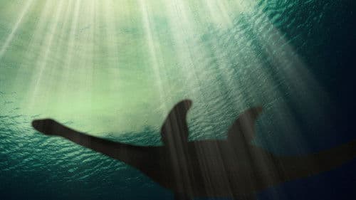 Monsters of The Abyss Bild 2