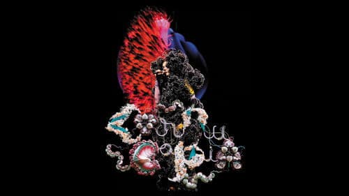 Björk: Cornucopia Bild 7