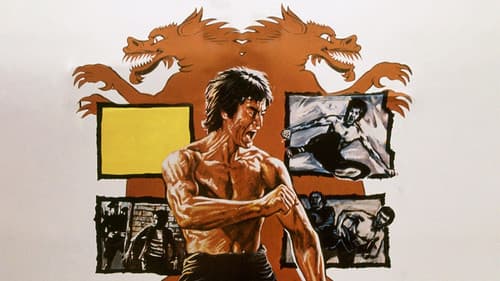 Die gnadenlosen Fäuste des Kung Fu Bild 2