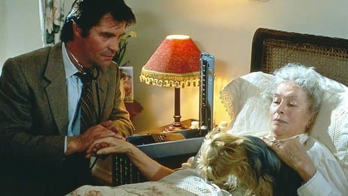 Darkness Falls Bild 1