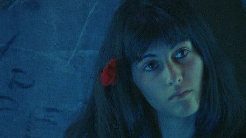 Ein Blick und die Liebe bricht aus Bild 1