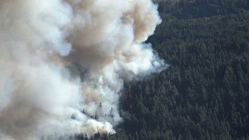 Ecos del Fuego Bild 1