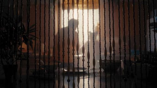 Sugar Dumplin Bild 1