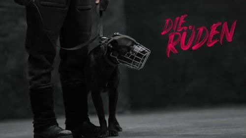 Die Rüden Bild 5
