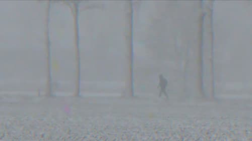 Midwinter Hue Bild 1