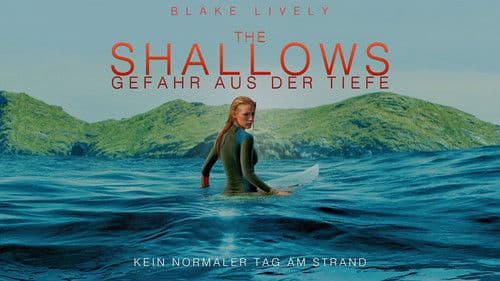 The Shallows: Gefahr aus der Tiefe Bild 7