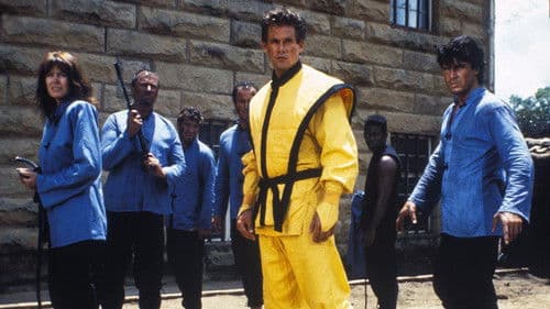 American Fighter 4: Die Vernichtung Bild 3