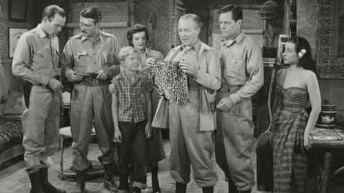 The Lost Volcano Bild 1