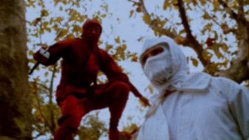 42nd Street Forever, Volume 3: Exploitation Explosion Bild 1