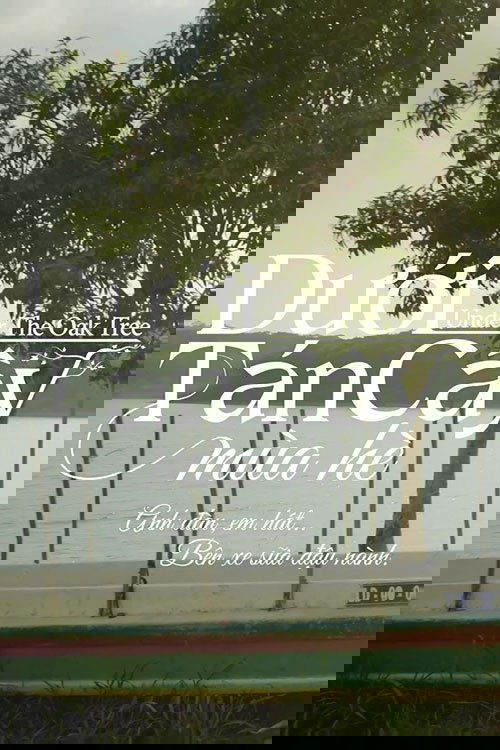 Dưới Tán Cây Mùa Hè