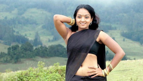 சங்கரன்கோவில் Bild 1