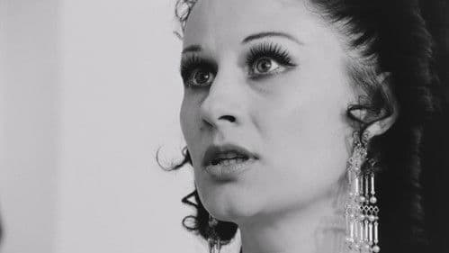 Devičanska svirka Bild 2