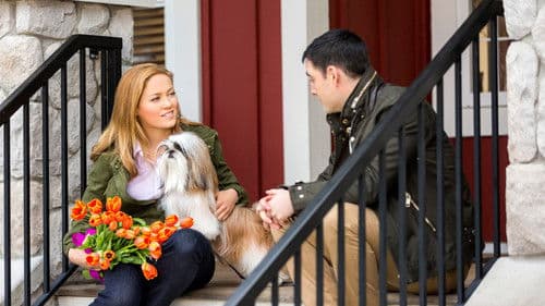 My Boyfriends' Dogs Bild 8