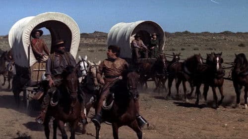 Die 7 aus Texas Bild 6