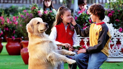 De Pocas Pocas Pulgas Bild 1