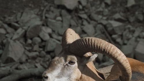 Αέναα Κύματα Bild 3