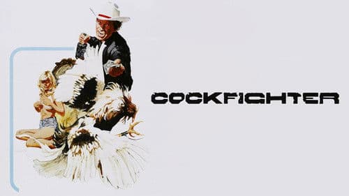 Cockfighter Bild 8