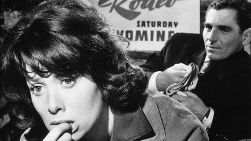 Schwarzer Kies Bild 7