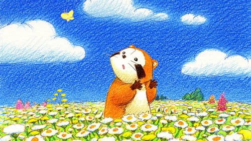 Rascal, der Waschbär Bild 6