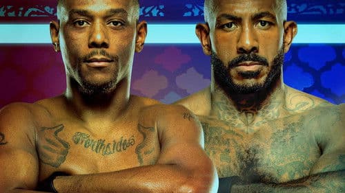 UFC on ABC 8: Hill vs. Rountree Jr. Bild 2