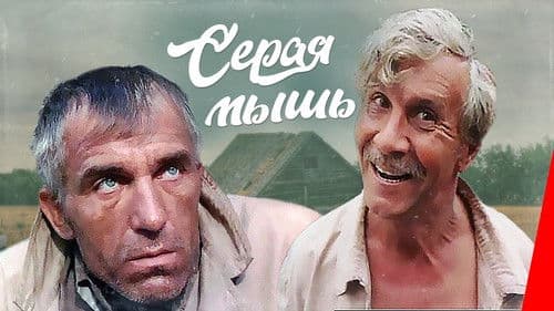 Серая мышь Bild 1