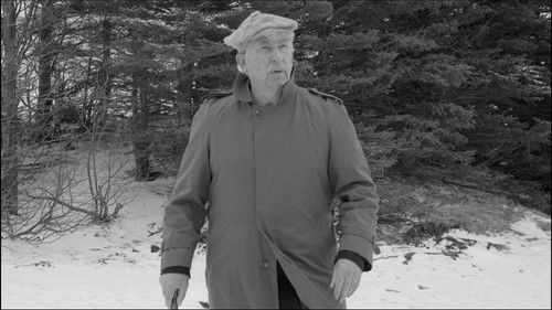 Lady at Number 16 Bild 6