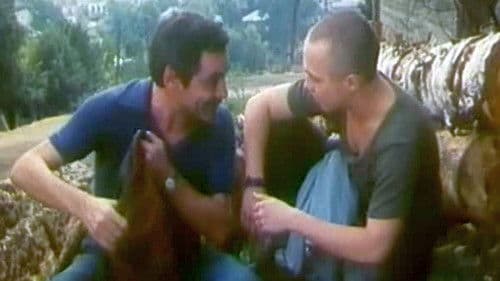 Трам-тарарам, или Бухты-барахты Bild 1