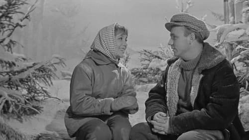 Девчата Bild 8