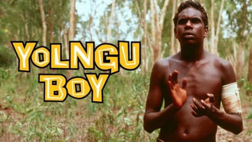 Yolngu Boy Bild 2