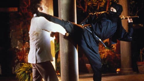 Ninja - Die Killermaschine Bild 4