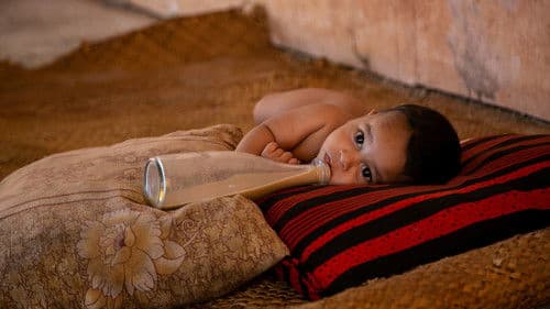 Vihanga Premaya Bild 4