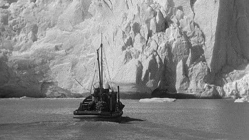 Piraten in Alaska Bild 7