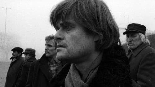 Die Werckmeisterschen Harmonien Bild 4