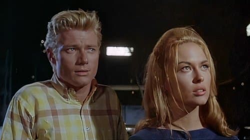 The Happening Bild 1