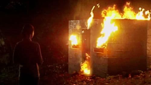 In the Dark Half Bild 2