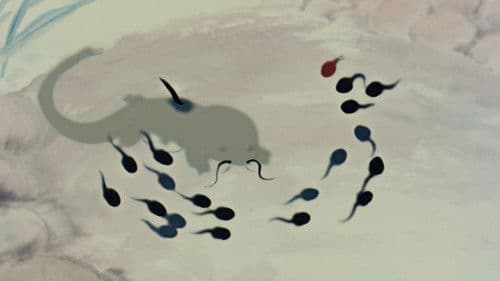 小蝌蚪找妈妈 Bild 3