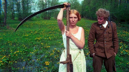 Das Birkenwäldchen Bild 1