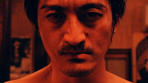 Journey of the Tortoise Bild 1