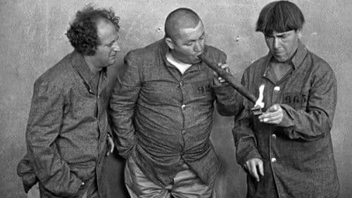 Dutiful But Dumb Bild 5