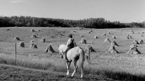 Cornet at Night Bild 1