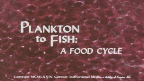 Plankton to Fish: A Food Cycle Bild 1