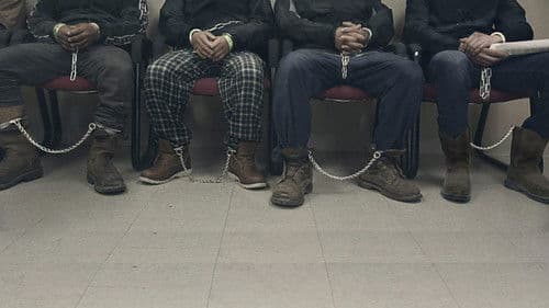 Immigration Nation Bild 1