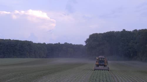 Can You Hear Us Now? Bild 1