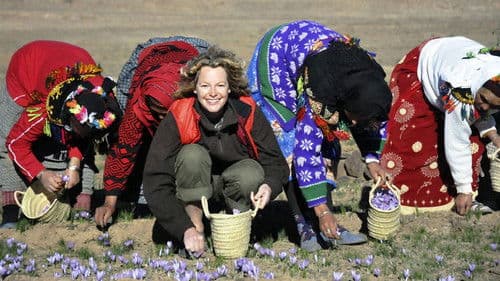 The Spice Trail Bild 1