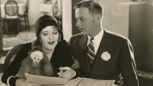 The Carnation Kid Bild 1