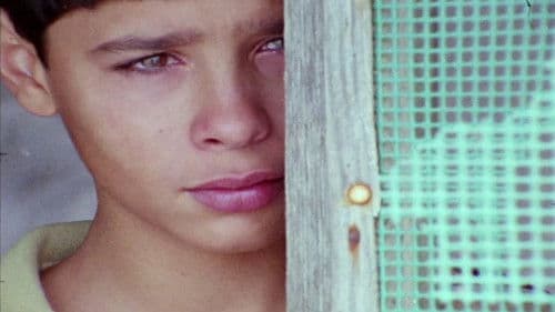 Uma Pedra no Bolso Bild 3