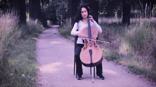 Windblown letters Bild 4