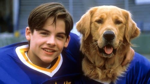Air Bud: Golden Receiver Bild 2